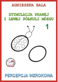 Stymulacja prawej i lewej półkuli 1 Percepcja wzrokowa