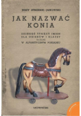 Jak nazwać konia