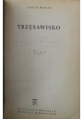 Trzęsawisko