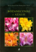 Różaneczniki i azalie