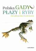 Polska Gady płazy i ryby Encyklopedia ilustrowana