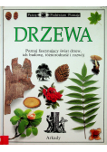 Drzewa