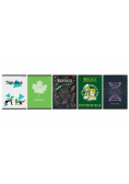 Brulion A5/80K kratka Biologia (5szt)