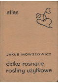Atlas dziko rosnące rośliny użytkowe