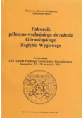 Paleozoik północno-wschodniego obrzeżenia Górnoś