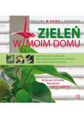 Zieleń w moim domu