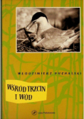 Wśród trzcin i wód