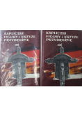 Kapliczki figury i krzyże przydrożne 2 Tomy