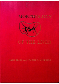 Morphology of the liver