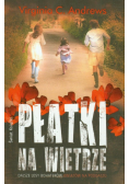 Płatki na wietrze