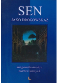 Sen jako drogowskaz Jungowska analiza marzeń sennych