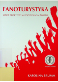 Fanoturystyka Kibice sportowi w pozytywnym świetle
