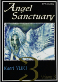 Angel Sanctuary Tom 3