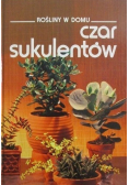 Rośliny w domu Czar sukulentów