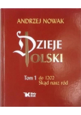 Dzieje Polski  Tom I