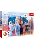 Puzzle 24 maxi Magiczna wyprawa TREFL