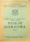 Dzieje Gorzowa Tom I