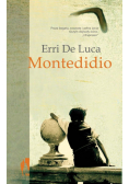 Luca Erri - Montedidio