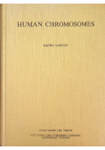 Human Chromosomes