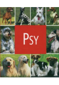 Psy