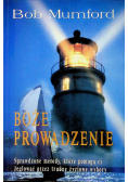 Boże prowadzenie