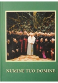 Numine Tuo Domine