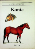 Konie Leksykon przyrody