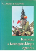 Kwiatki z jasnogórskiego ogrodu