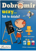 Dobromir pomysłowy uczy Jak to działa