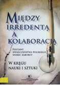 Między irredentą a kolaboracją