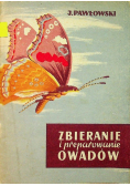 Zbieranie i preparowanie owadów