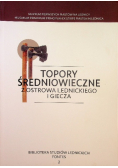 Topory średniowieczne z Ostrowa Lednickiego i Giecza