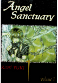 Angel Sanctuary Tom 1