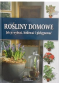 Rośliny domowe Jak je wybrać hodować i pielęgnować
