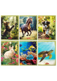 Zeszyt A5/16K linia podwójna Animals (20szt)