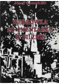 Wędrówka po cmentarzu w Pliźnie