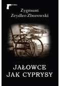 Jałowce jak cyprysy