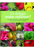 Co dolega moim roślinom