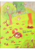 O dwunastu miesiącach