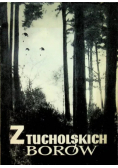 Z Tucholskich Borów
