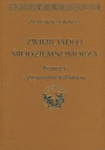 Zwierciadło Śródziemnomorza
