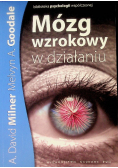 Mózg wzrokowy w działaniu