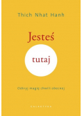 Jesteś tutaj