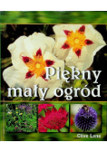 Piękny mały ogród