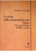 System mikrotoponimiczny Śląska Cieszyńskiego XVIII wieku
