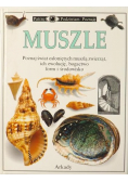 Muszle