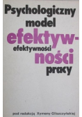 Psychologiczny model efektywności pracy