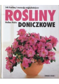 Jak kwitną i owocują najpiękniejsze rośliny doniczkowe