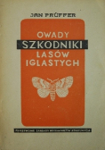 Owady szkodniki lasów iglastych