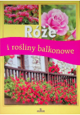Róże i rośliny balkonowe